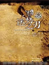 《时光之轮11·迷梦之刃（上下）》小说封面