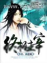 《终极主宰》小说封面