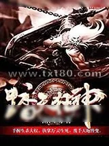 《踏天狂神》小说封面