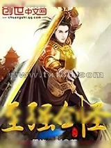 《至强剑圣》小说封面