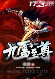 《九雷至尊》小说封面