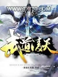 《武道凌天》小说封面