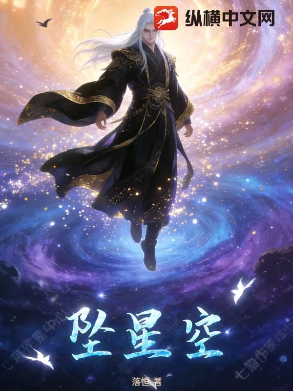 《坠星尘》小说封面