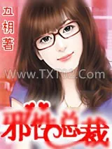 《邪性总裁》小说封面