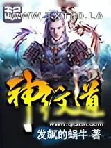 《神纹道》小说封面
