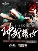 《神武耀世》小说封面
