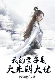 《我的妻子是大乘期大佬》小说封面