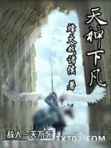 《国富论》小说封面