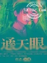 《通天眼》小说封面