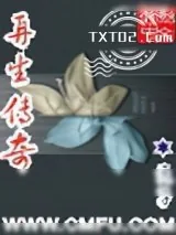 《再生传奇》小说封面