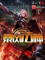 《暴风法神》小说封面