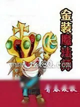 《金装魔法师》小说封面