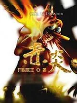 《赤炎》小说封面