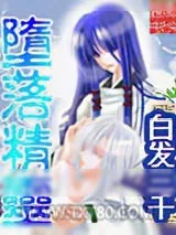《堕落精灵》小说封面