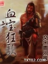 《血宝狂歌》小说封面