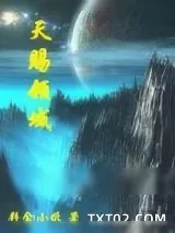《天赐领域》小说封面