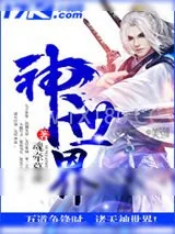 《神世界》小说封面