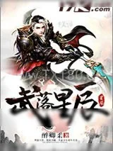 《武落星辰》小说封面