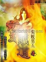 《完美贼道》小说封面