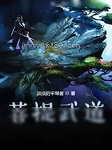 《菩提武道》小说封面