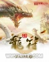 《龙符》小说封面