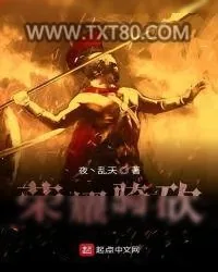 《荣耀骑砍》小说封面