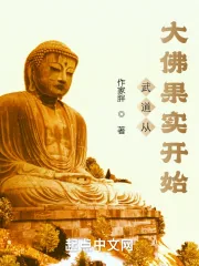《武道从大佛果实开始》小说封面