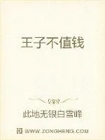 《王子不值钱》小说封面