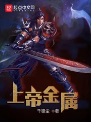 《上帝金属》小说封面