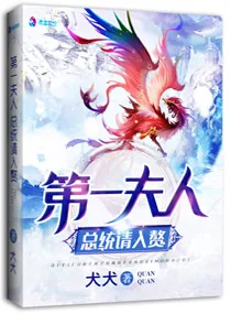 《第一夫人:总统请入赘》小说封面