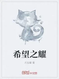 《希望之耀》小说封面