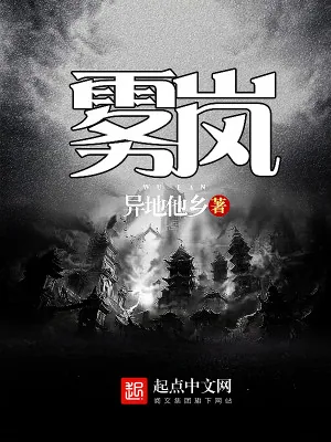 《雾岚》小说封面