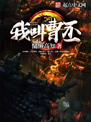 《我叫曹丕》小说封面