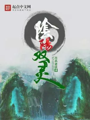 《阴阳双灵》小说封面