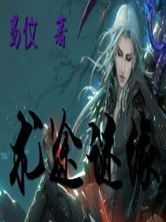 《术途谜缘》小说封面