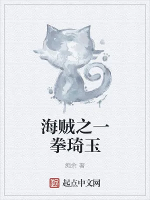 《海贼之一拳琦玉》小说封面
