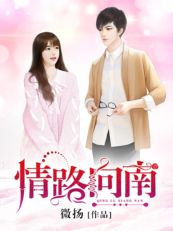 《情路向南》小说封面