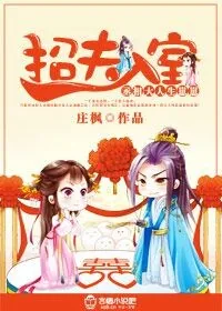 《招夫入室:丞相大人生崽崽》小说封面