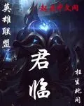 《英雄联盟之君临》小说封面