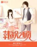 《韩娱之硕》小说封面