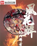 《风花醉》小说封面