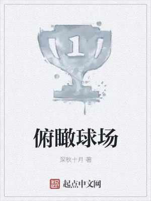 《俯瞰球场》小说封面
