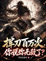 《挥刀百万次，你说你无敌了？》小说封面