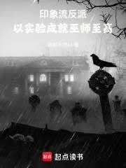 《印象流反派:以实验成就巫师至高》小说封面