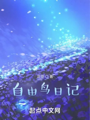 《自由鸟日记》小说封面