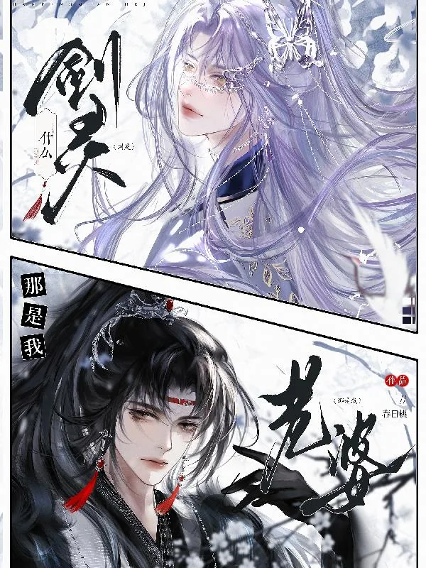 《什么剑灵,那是我老婆!》小说封面