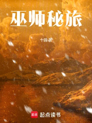 《巫师秘旅》小说封面