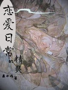 《综：精灵的恋爱日常》小说封面