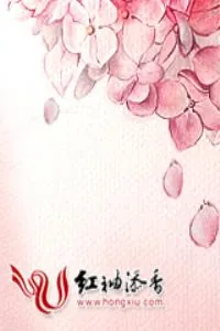 《王爷王妃是绝配2》小说封面