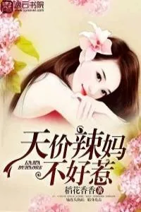 《天价辣妈不好惹》小说封面